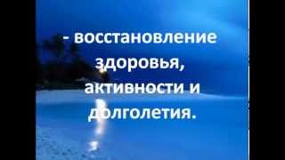 Ян-Шэн Fohow