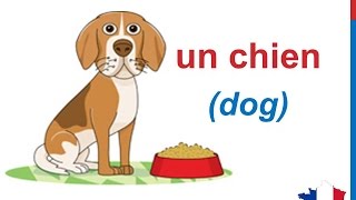French Lesson 58 - ANIMALS in French Vocabulary LES ANIMAUX en français Animales en francés