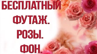 Футажи скачать бесплатно  Розы  Фон   видеомонтаж