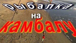 морская рыбалка на камбалу /снасти/наживка/