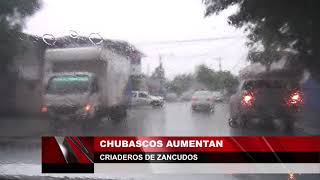Chubascos aumentan criaderos de zancudos