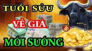 Tiết Lộ Những Bí Mật Giúp Tuổi Sửu Về Già Rất Sướng Tiền Nhiền Như Nước Sau 50 Tuổi