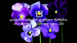 Merab Kashia - Damchknar Iebs (Lyrics) / მერაბ კაშია - დამჭკნარ იებს (ტექსტი) ❤