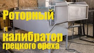 Роторный калибратор грецкого ореха, обзор. Калибровка ореха.