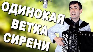 ?БОЖЕ, КАК ПАРЕНЬ ПОЕТ! ?ПРОСТО ДУШУ РВЕТ! ("Одинокая ветка сирени" под баян)