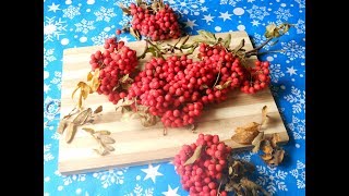 ✅Рябина на зиму// Самая простая заготовка