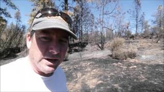 Bennett Fire Grass Valley, CA. Sept 2015