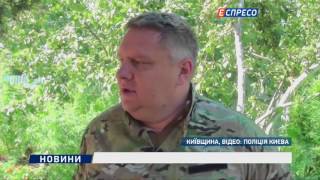 На острові під Києвом виявили велику плантацію коноплі