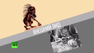 Жители Воронежской области подозревают чупакабру в уничтожении домашней птицы