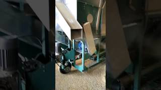 Очистка зерна пораженного фузариозом. Краснодарский край