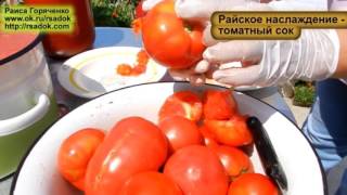 Райское наслаждение - томатный сок