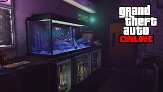 GTA 5 Online - Strip Club Secret Rooms Glitch