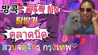 방콕 #짜뚜짝시장 애완동물 브이로그 #초보유튜버 พาสามีเกาหลีเที่ยวตลาดนัด สวนจตุจักร กรุงเทพมหานคร