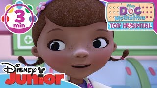 Doc McStuffins | Think Like Your Pets Song | Disney Junior UK