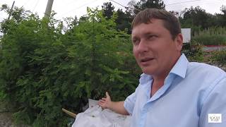 Дикие пляжи Сочи - место для тихого спокойного отдыха SOCH-ЮДВ |Квартиры в Сочи |Отдых Сочи