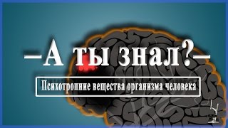 Психотропные вещества организма человека
