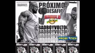 Husky Lion Crew - Pitbull de competição (Gym)
