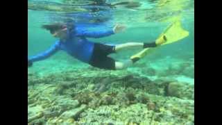 Lady Elliot Island Snorkelling CB