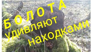 Коп в Калининградской области...