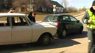 Reidas 2010 03 29