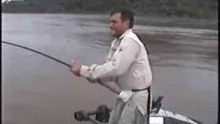 PIRARARA GIGANTE.....40 kg de PURA EMOCAO....