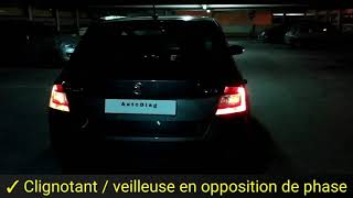 Activation des options cachées pour Skoda Fabia Ambition 2019 "AutoDiag"