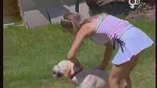 Elodie des Colocataires M6 upskirt + oops / real TV trash