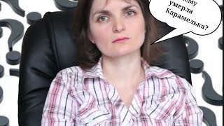 Почему умерла Карамелька? Виноваты ли ветеринары?