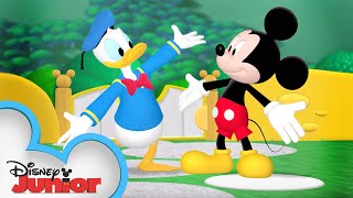 It's Donald Duck's Birthday! ? | Mickey Mouse Clubhouse | Disney Junior