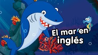 Animales del mar en inglés Canciones Infantiles