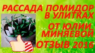 Отзыв -  Выращивание рассады помидор  в улитках от  Юлии Миняевой 15 марта 2016