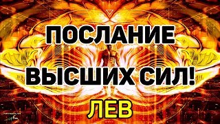 ЛЕВ. ПОСЛАНИЕ ВЫСШИХ СИЛ! ЯНВАРЬ 2020. ПРЕДСКАЗАНИЕ ТАРО. Гадание оналйн на картах таро.