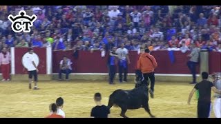 Sustos y Cogidas CT