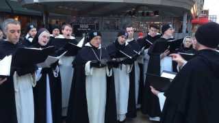 Lo How a Rose - Dominicans Caroling in DC 2013