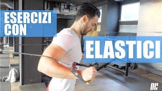 7 Esercizi con ELASTICI Fitness
