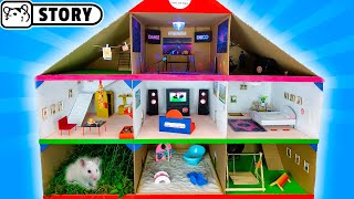 GIANT Cardboard Hamster HOUSE ? Hamster in 3-Level PLAYGROUND ? Hamster Playhouse