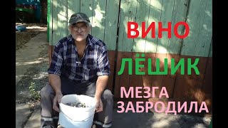 МЕЗГА ЗАБРОДИЛА а мы ещё туда винограда
