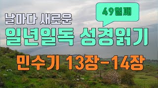 일년일독 성경읽기 연대순으로 읽기 49일째 민수기 13장-14장 성경통독
