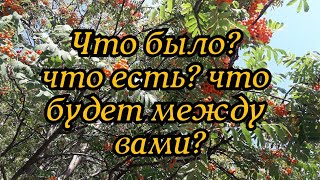 Что было? Что есть? Что будет? в ваших отношениях - гадание онлайн на таро