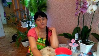 Яблочное варенье  //  Немного о мёде