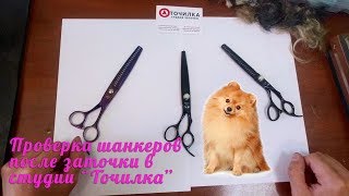 На видео тестируем ножницы (грумерские) шанкеры после заточки, доводки и микронасечки!
