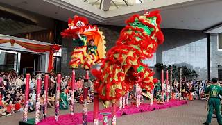 2020 CNY Malaysia Lion King Acrobatic Lion Dance Performance @ One World Hotel #雪州雙溪威群樂體育會龍獅團