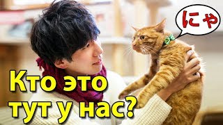 С кем живут одинокие японцы. Квартиры в Японии с другом на выбор
