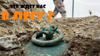 ВОТ ЭТО ЛЕС ВЫДАЕТ СЮРПРИЗЫ. ЯНВАРСКИЙ КОП С Nokta Makro Simplex