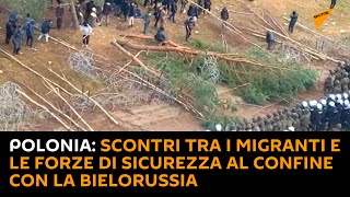 Polonia: scontri tra i migranti e le forze di sicurezza al confine con la Bielorussia