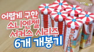 자색고구마 님이 신청하신 소니엔젤 서커스를 구해왔습니다!! | 소소일상 SOSO1SANG
