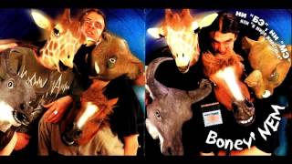 Boney NEM - You're My Heart, You're My Soul (Ты - моё сердце, ты - моя душа)