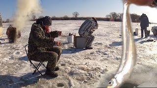 ЛОВЛЯ МЕЛКОЙ ВКУСНОЙ РЫБКИ! Рыбалка на ПИСУЧ Приморский деликатес. Корюшка.