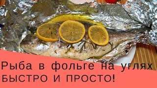 Рыба на углях. Рыба в фольге на углях, как приготовить.