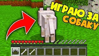 Как пройти Майнкрафт за Собаку? Майнкрафт прохождения КАК ИГРАТЬ ЗА СОБАКУ В МАЙНКРАФТЕ?